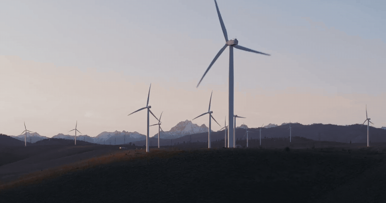 Combatting the Global Surge of Renewable Energy Disinformation and the Path Toward Climate Literacy