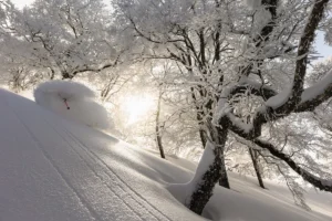 Japan: The Ultimate Winter Escape – Unveiling 10 Irresistible Reasons to Experience Its Legendary Slopes and Culture