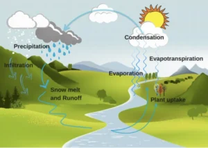 Vanishing Frost: The 2025-2026 Western Snow Crisis and Its Long-Term Hydrological Implications