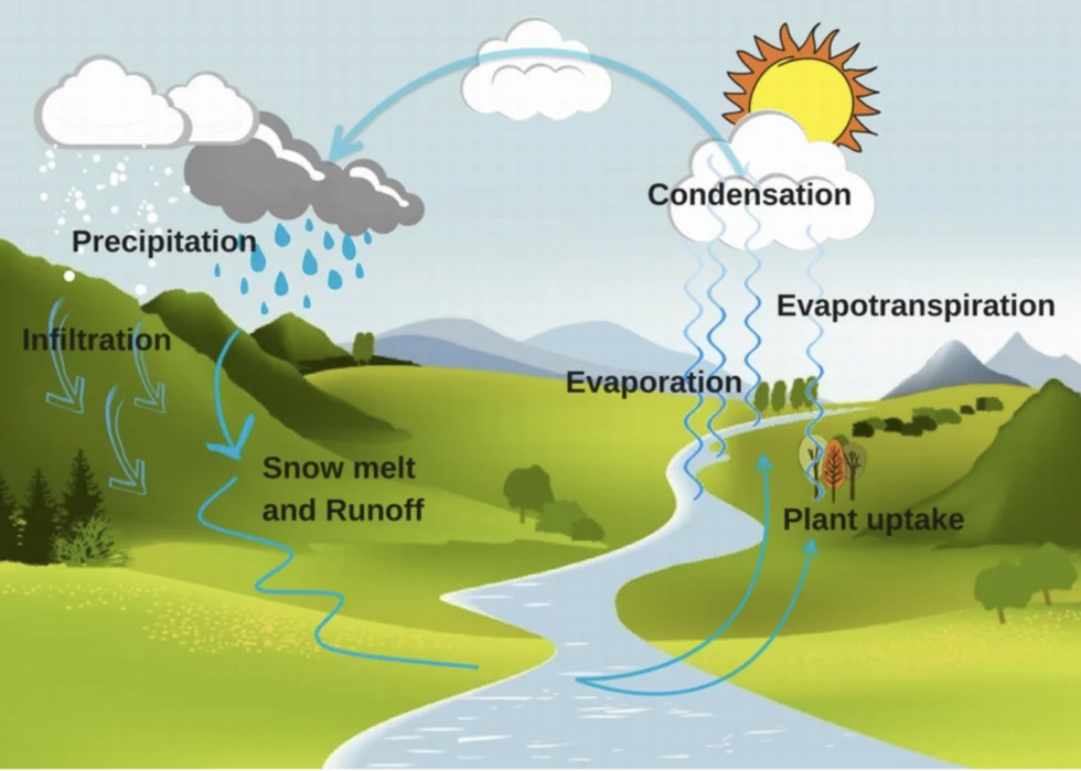 Vanishing Frost: The 2025-2026 Western Snow Crisis and Its Long-Term Hydrological Implications