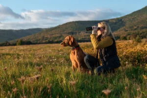 2026 Birdwatching and Wildlife Viewing Report