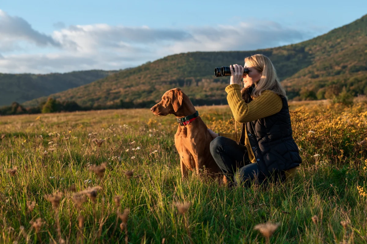 2026 Birdwatching and Wildlife Viewing Report