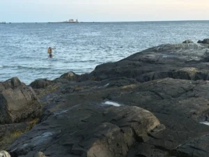 New Blue View Film Series Explores Community-Driven Climate Solutions Amid Rapid Warming in the Gulf of Maine