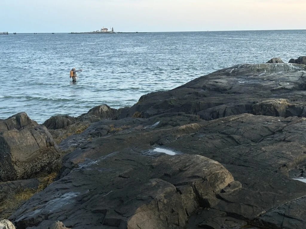 New Blue View Film Series Explores Community-Driven Climate Solutions Amid Rapid Warming in the Gulf of Maine